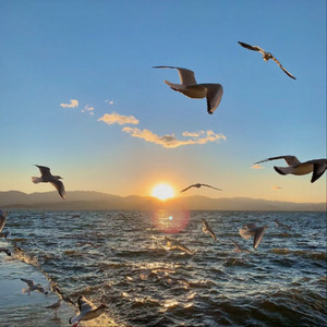 欧美人狂配大交3D
