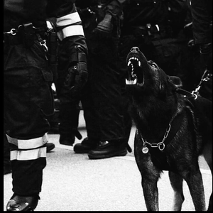 欧美人狂配大交3D
