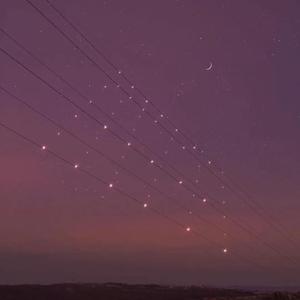 欧美人狂配大交3D
