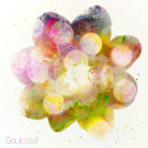 欧美人狂配大交3D
